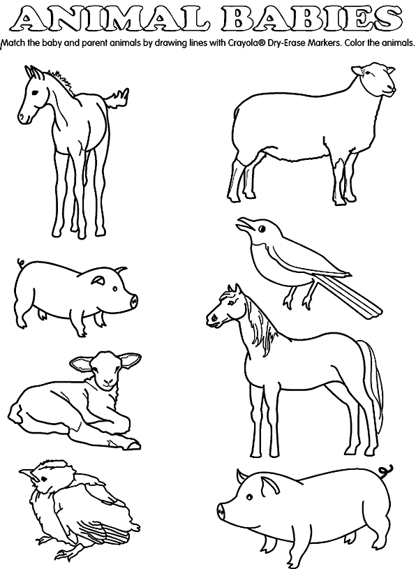 Baby Animal Coloring Pages - 66 Unique and Free Printables