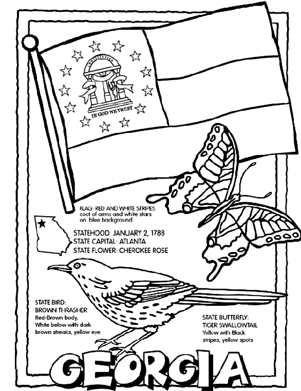 georgia state bird coloring page